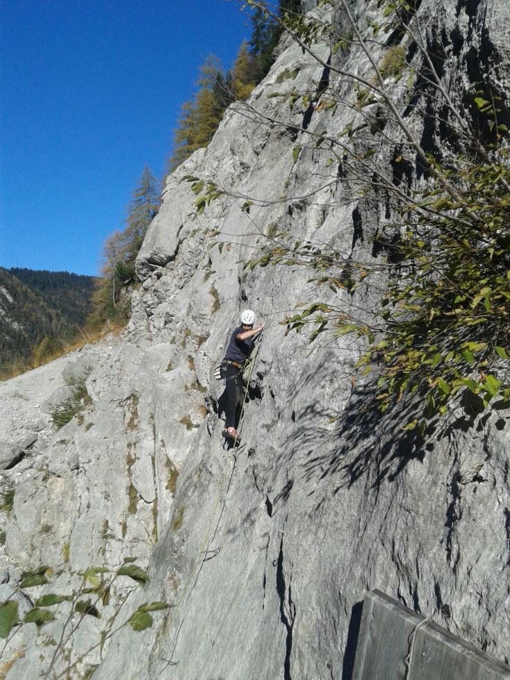 altAuqglXlPdXCzEjGuq4_pw5Cbcsfe-LplOYLO9FnYoKvW