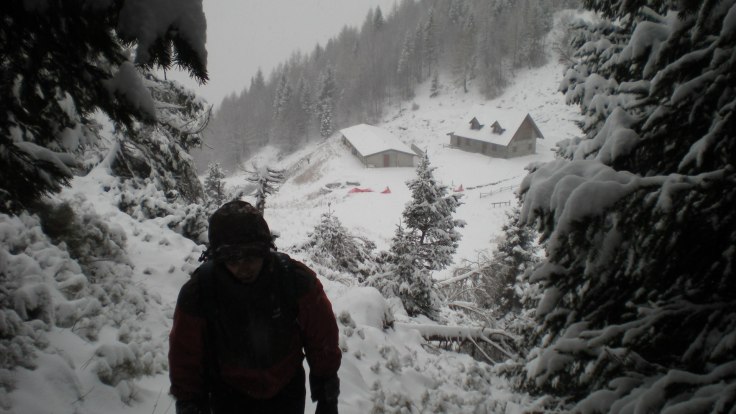 Sullo sfondo la Malga Valmedan Alta