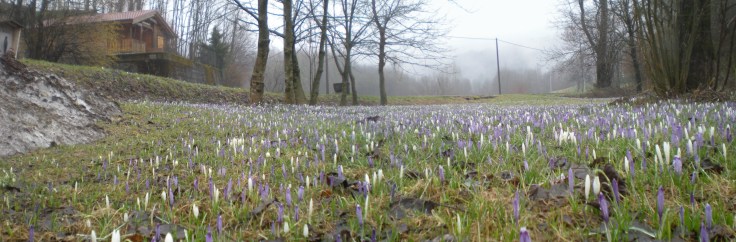 La primavera incalza!
