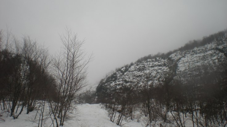 Sguardo verso l'alto