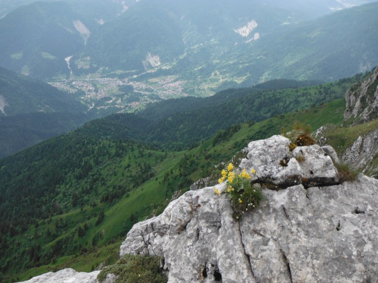 La conca di Paularo dal versante S dello Zermula