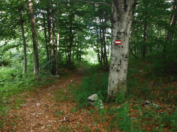 Il priomo tratto del sentiero CAI in discesa