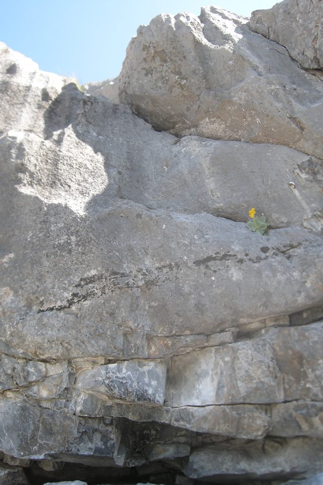 Il passaggio di VI°-