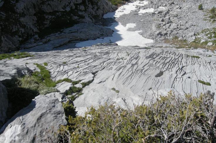 1044853_560668270638850_428019169_n