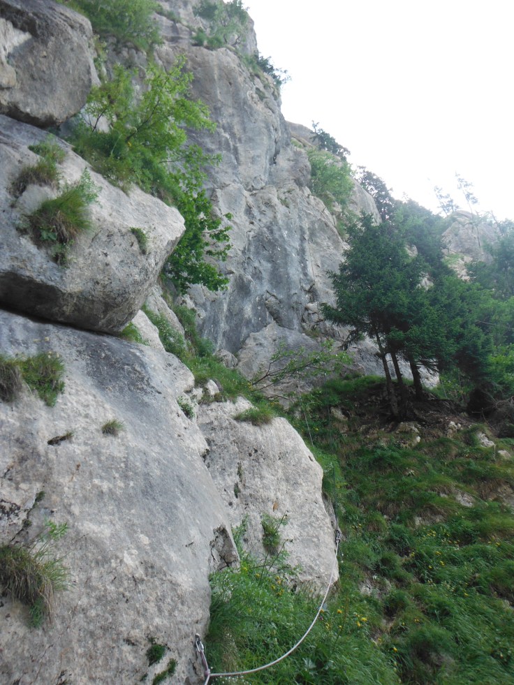 Verso l'attacco oltre gli abeti