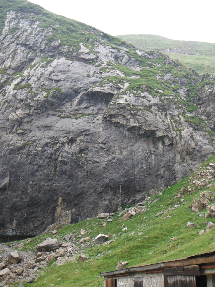 Splendide placche.. ormai bagnate