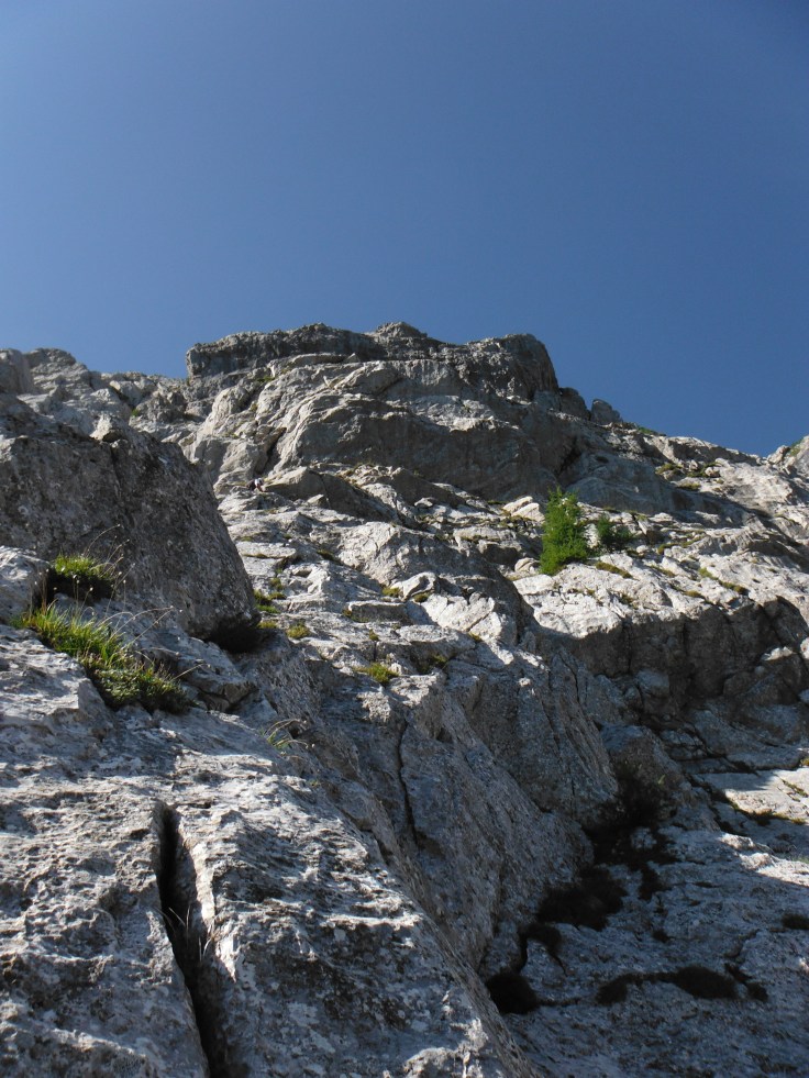 Quasi invisibile Pelle alla sosta del secondo tiro