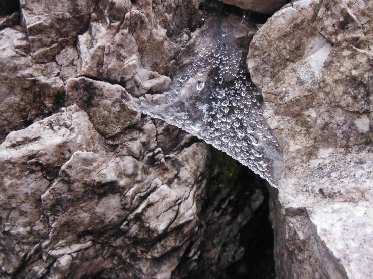 Membrana gore tex naturale