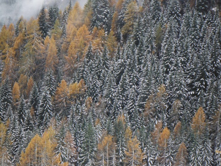 2 modi differenti di affrontare l'inverno