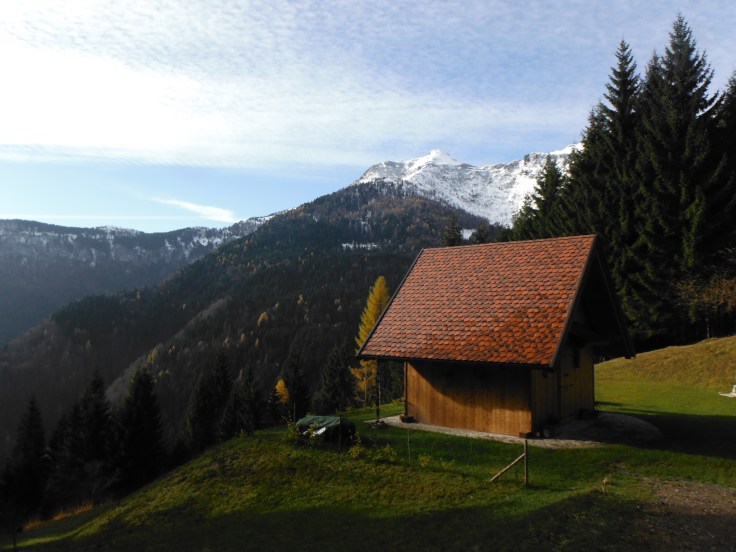 Scorci sul Col Gentile salendo