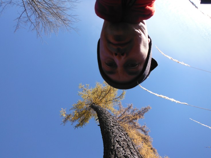 Con il mio amico larice