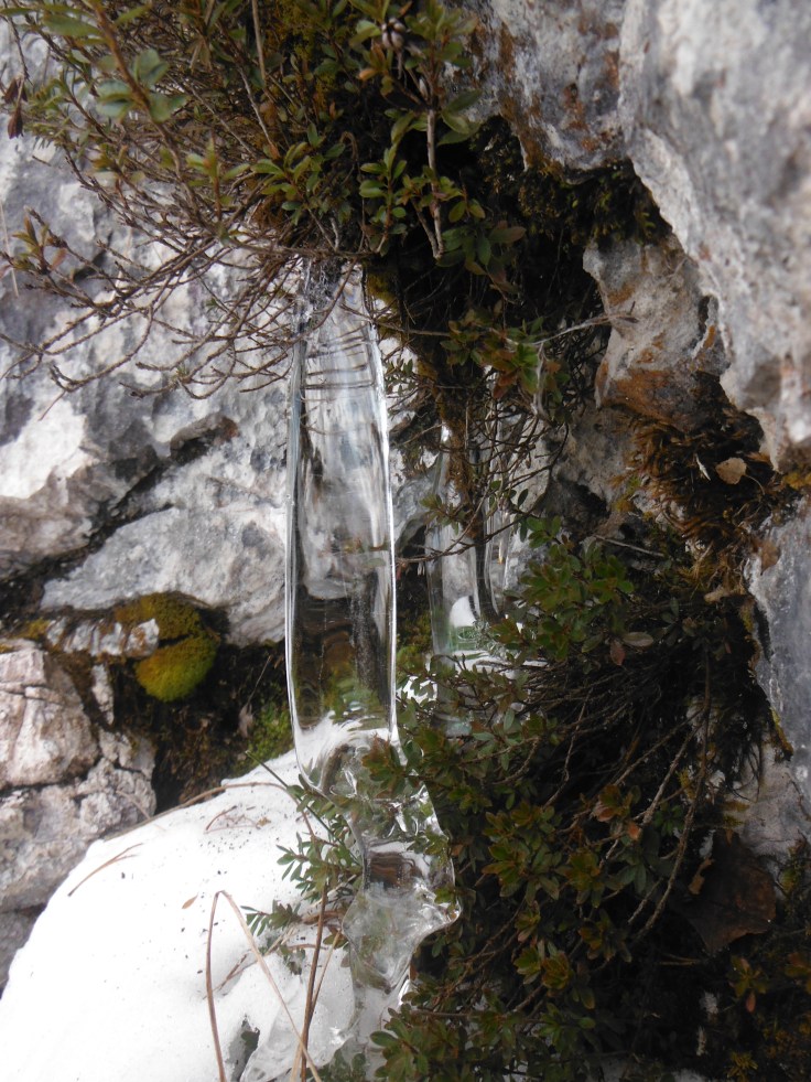 Altissima purissima ghiacciatissima