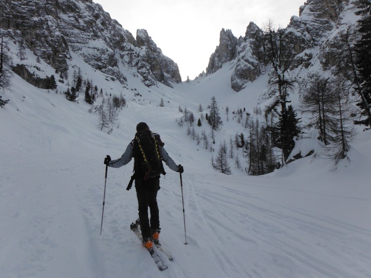 Fuori dal bosco, in fondo forcella della neve