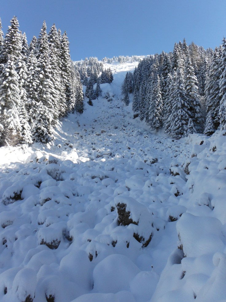 La valanga dal M. Gola