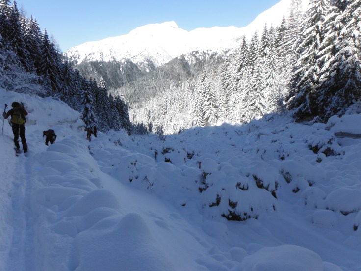 Il vallone del rio Plumbs stravolto dalla valanga