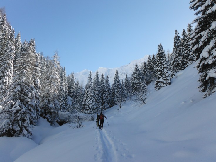 Fuori dal bosco, ultimo ponte prima dei prati