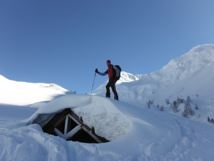 Sul tetto del ricovero bestiame..