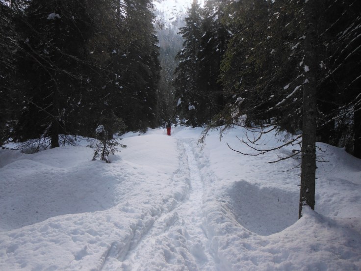 Sulle tracce dei ciaspolatori