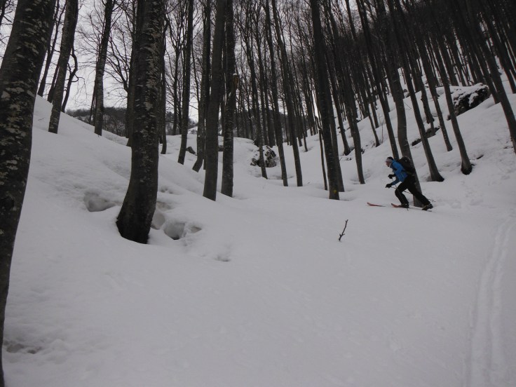 Appena lasciate le piste