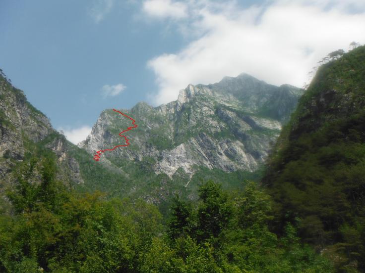 Particolare della Pale dai pins da Pissebus