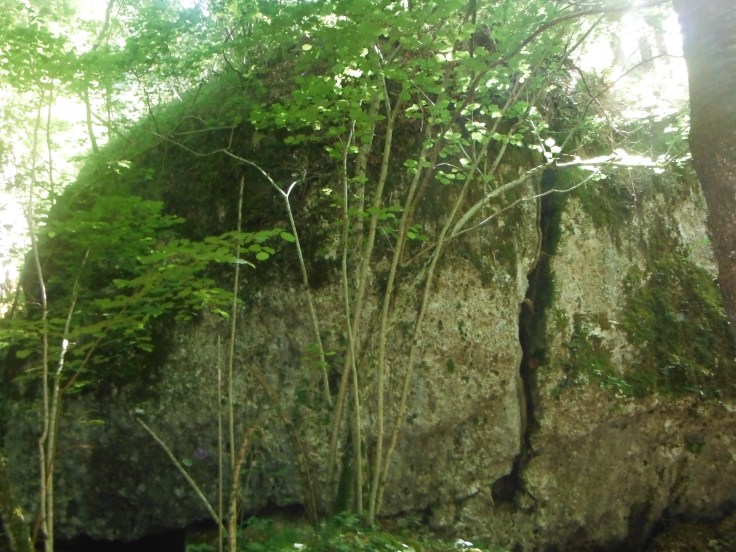 Dal sentiero, il clapon