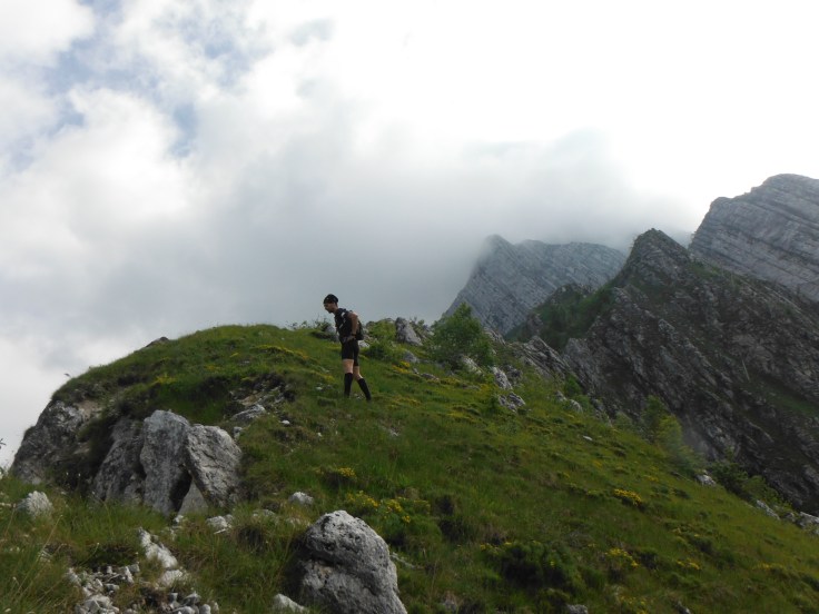 E' pericoloso sporgersi