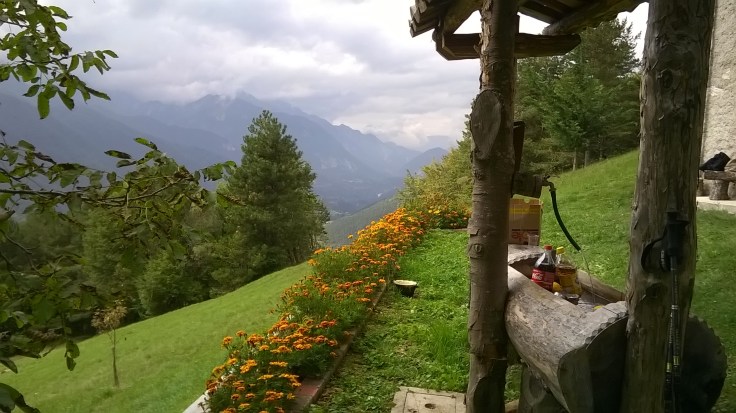 WP_20140920_13_45_06_Pro