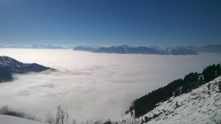 WP_20150213_14_41_04_Pro