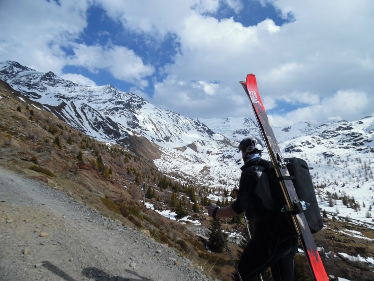 Sulla strada che dal Rif. Forni porta verso il Pizzini