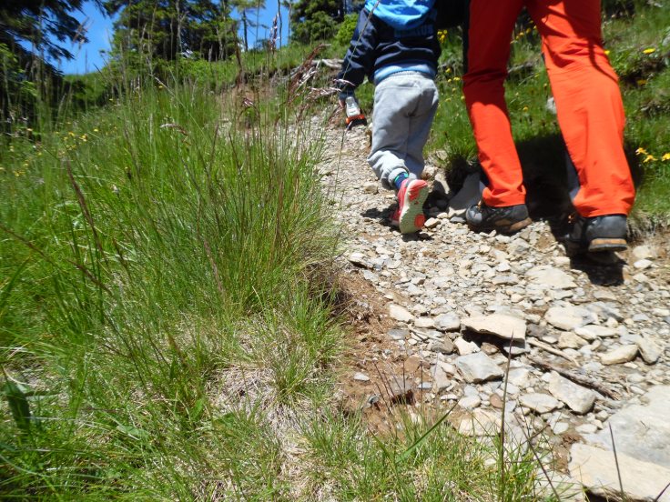 Piccoli passi, grandi passi