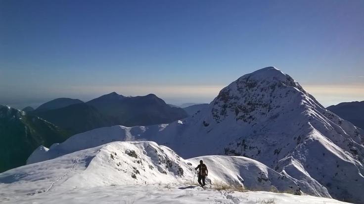 15879_10204573384206146_8435448888214740886_n