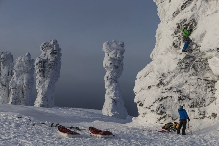 46c2da25224798eb468121af5c535412