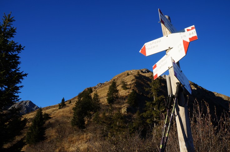 Sullo sfondo il M. Pizzul