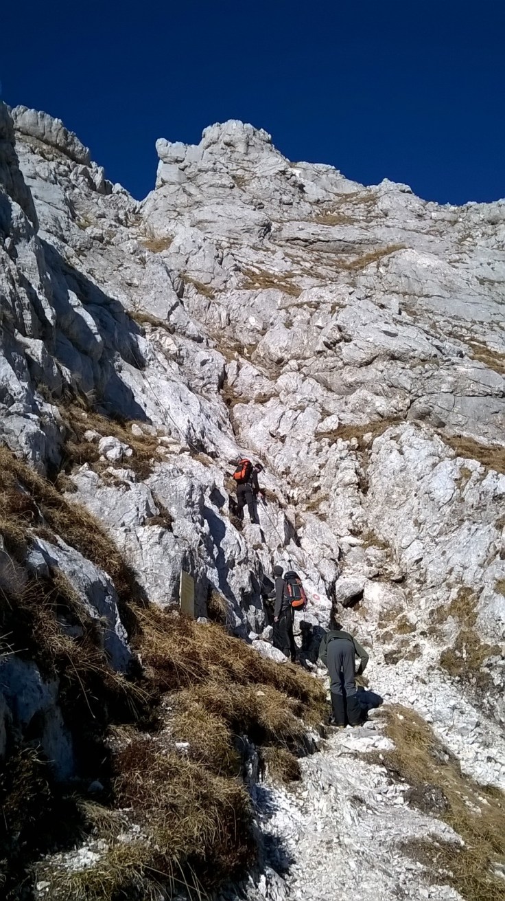 WP_20151230_11_53_44_Pro