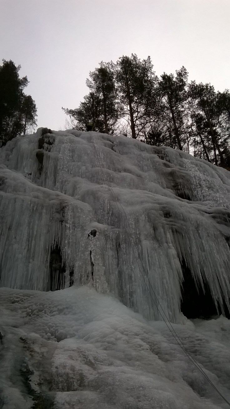 WP_20160124_12_54_18_Pro