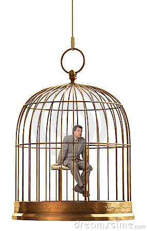 gabbia-di-uccello-5123444