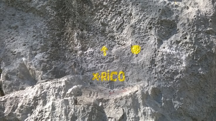 wp_20160922_14_21_34_pro